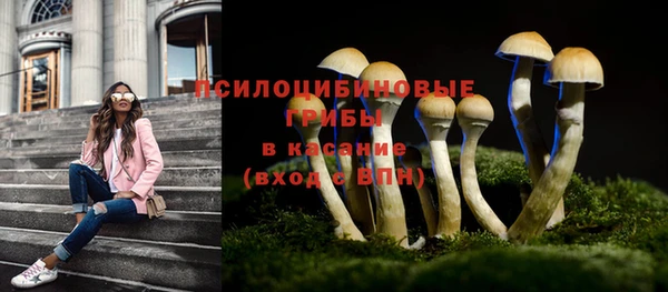 ешки Беломорск