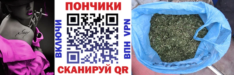 где купить наркоту  Моздок  МАРИХУАНА ГИДРОПОН 